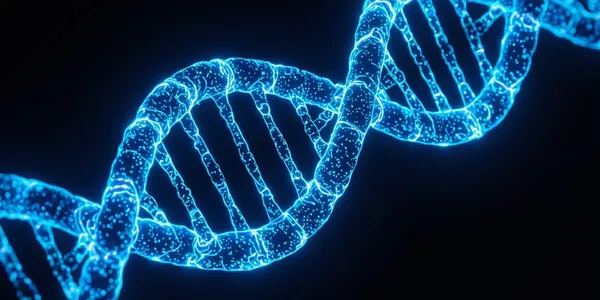 Home Rsw 600h 300cg True